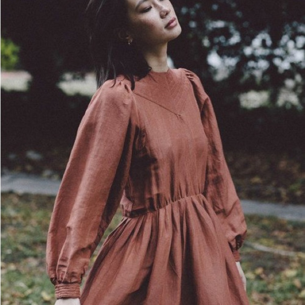 Elegant Rust Dress